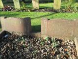 image of grave number 379562